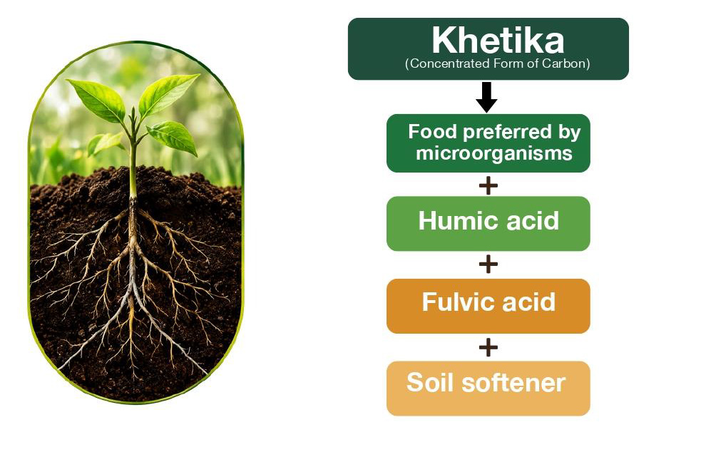 KHETIKA